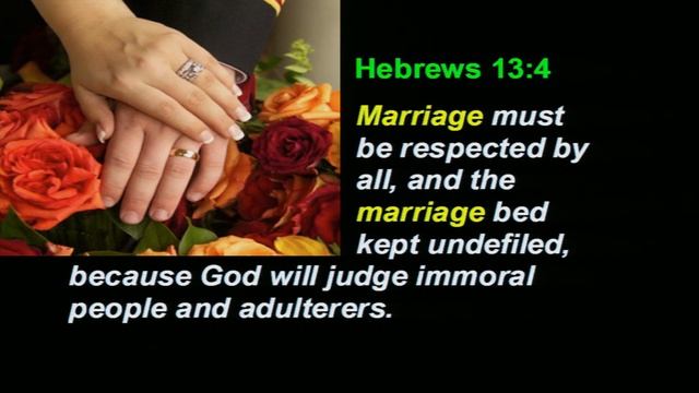 Ruth Principle 8: Moral Purity смотреть онлайн