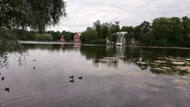 Что там в зеркалах смотреть онлайн