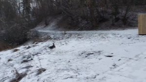 1000216739.mp4
03.02.25
2 часть фильма
Прогулка р Таруска.
г Таруса