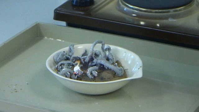 Змеи из Пепла смотреть онлайн