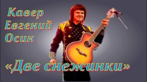 Евгений Осин "Две снежинки" кавер