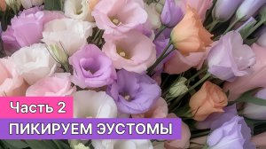 Пикируем эустомы