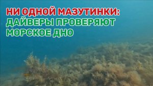 Аквалангисты погрузились в море в районе Большого Утриша