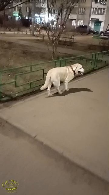 По пути