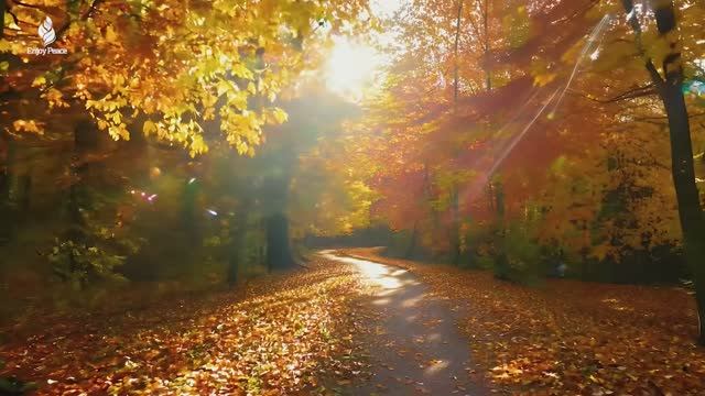 Красивая расслабляющая Музыка 🍁 Музыка для снятия стресса с Осенней Мелодией