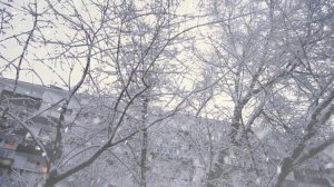 Снегом город засыпает / Авторская песня / Ирина Брагина