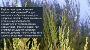 Николаев 18 февраля 2025 года (новости)