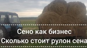 Мтз82 утащил прицеп рулонов сена на продажу .