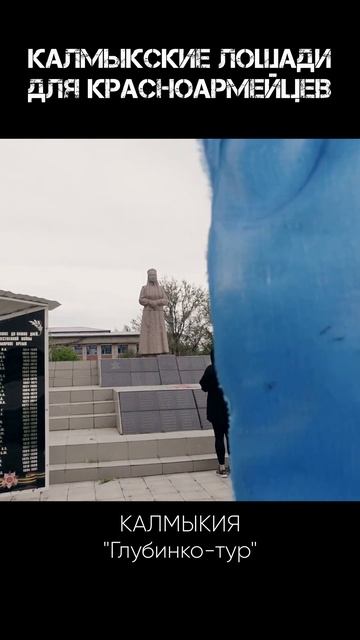 Калмыкия и лошади для РККА #shorts #калмыкия #история смотреть онлайн