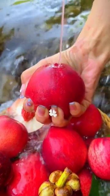 Farm Fresh Fruits | Fruits varieties