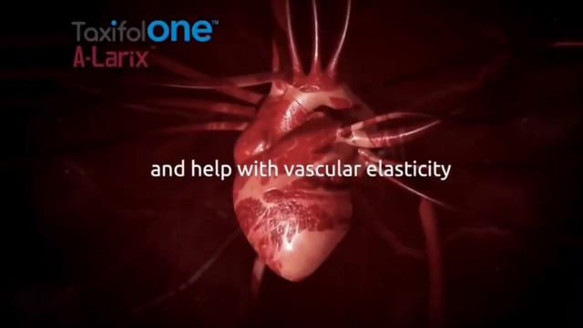 твоё здоровье👍 смотреть онлайн