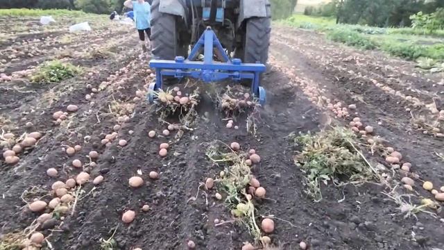 картофелекопалка. Производим