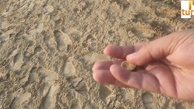Orol dengizining qurigan hududida saksovul ekdik. Yerni qazdik, chig‘anoq ham topdik