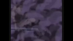 Naruto - Belle - Sakura Kakuzu Sasori et Hidan