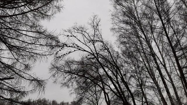 Почему Небесная душа реинкарнирует 7000 раз на планету Земля смотреть онлайн