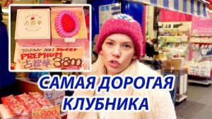 Самая дорогая клубника! | Прогулки по Токио | Жизнь в Японии