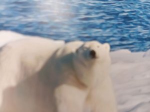 заходи играем кто лучше нарисует