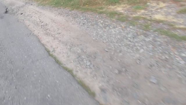 Виктор Безгодков. Уничтожение растительности. смотреть онлайн