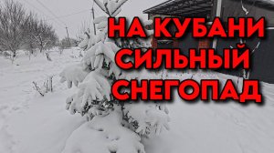 825 Жизнь семьи в Краснодарском крае/Переехали с Южного Урала на Кубань