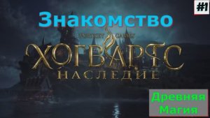 Hogwarts Legacy (Русская озвучка) - Знакомство Прохождение игры на 1 Часть