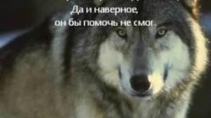 ...Удачная на днях была охота...