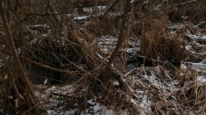 Усадьба Ляхово. 16.02.2025.Набережная. Детская площадка. Волейбольная.Футбол. Мост через Р. Востец.