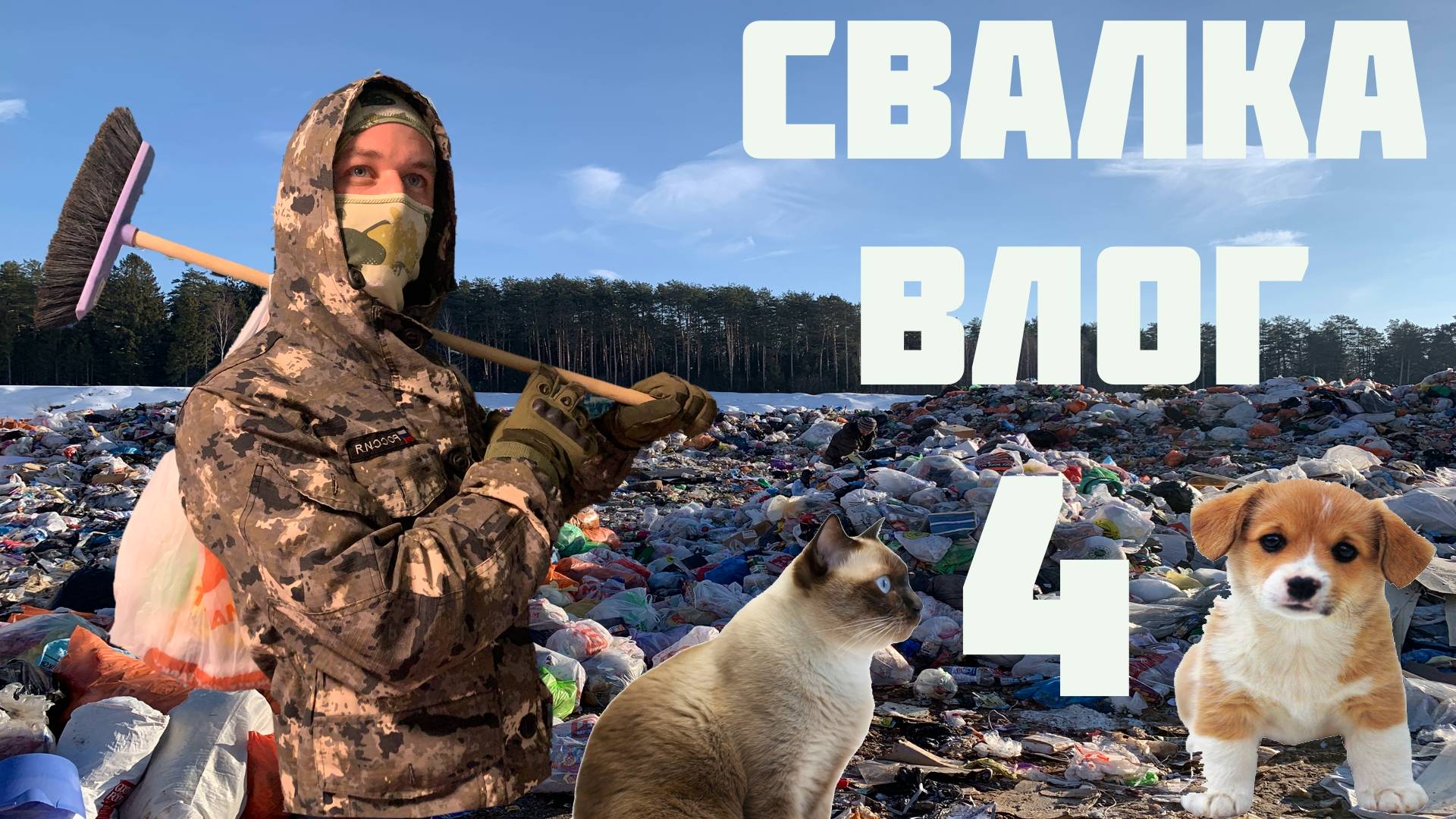 Люди выкидывают домашних животных на СВАЛКУ!