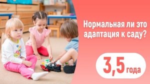 Как проходит адаптация в детском саду!? 3,5. С таким поведением продолжать ходить в д/с или нет?