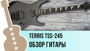 TERRIS TSS-245 - обзор гитары