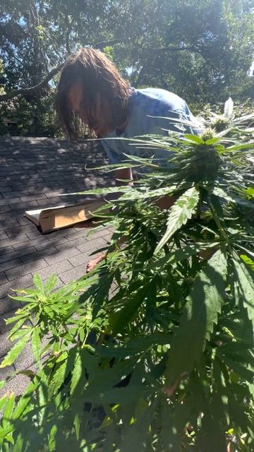 4A886030 14FC 4734 B8A7 D7F7B40EACE8 смотреть онлайн