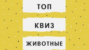 Квиз ,викторина - угадай животное.