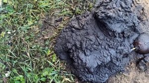 и снова грустный водонос.