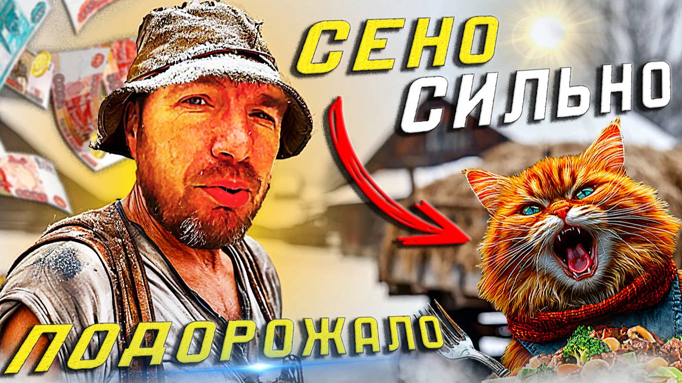 В поисках сена. Что есть животным? ВАЗ 2107 опять подводит...