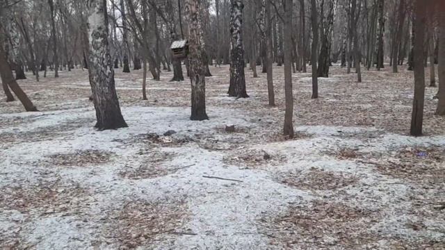 Как пробудить спящего смотреть онлайн