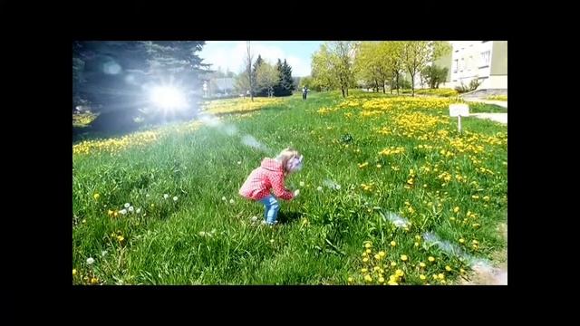Одуванчик time\ Гуляем\Dandelion time! смотреть онлайн