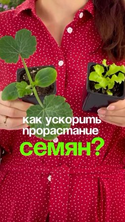 Как улучшить прорастание семян
