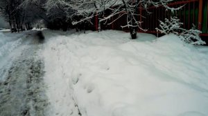 Ирина Брагина — Я тебя укрою свои крылом/ Авторская песня