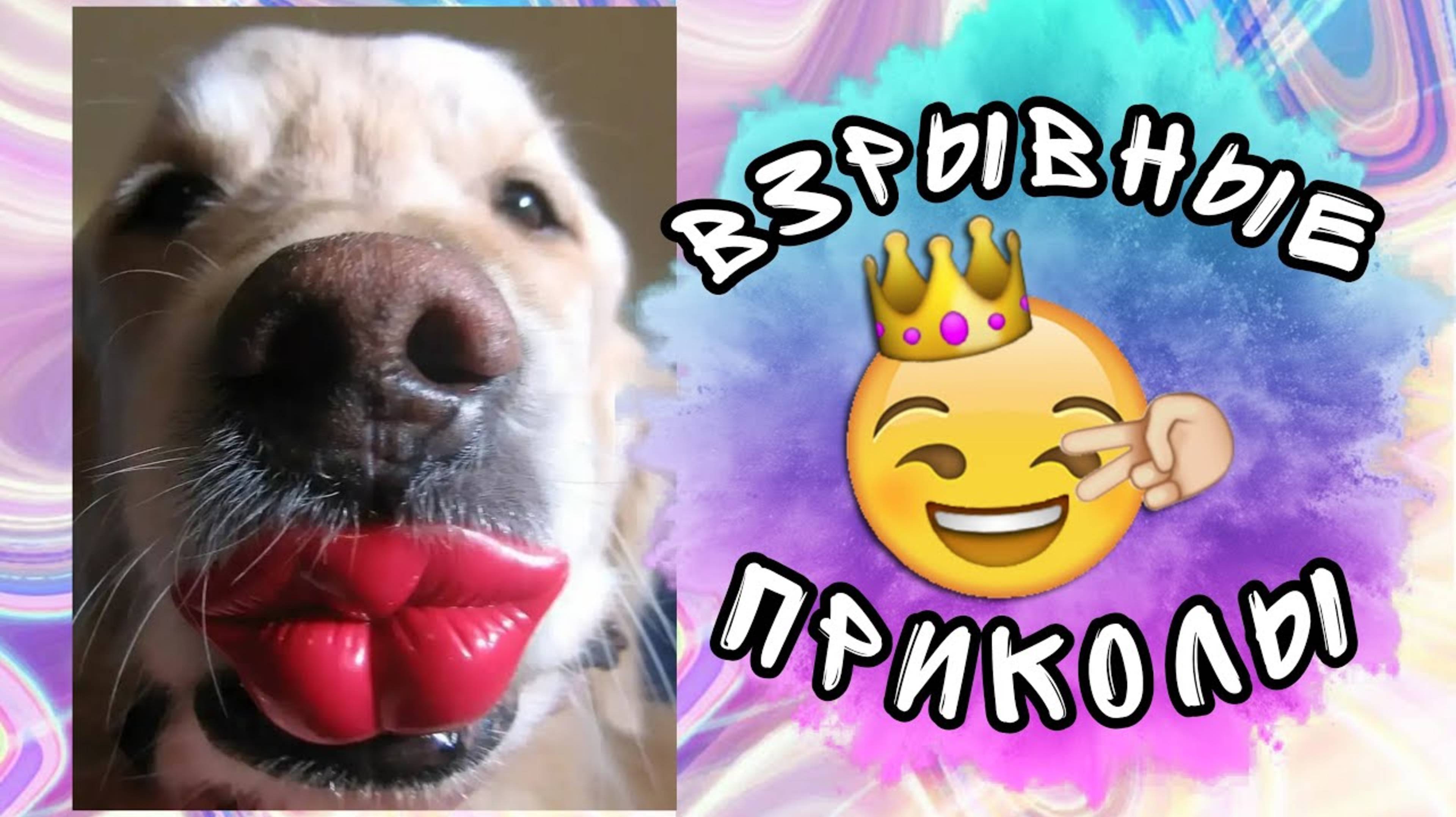 6 МИНУТ ВЗРЫВНЫХ ПРИКОЛОВ / ПРИКОЛЫ / СМЕЙСЯ СКОЛЬКО ВЛЕЗЕТ смотреть онлайн