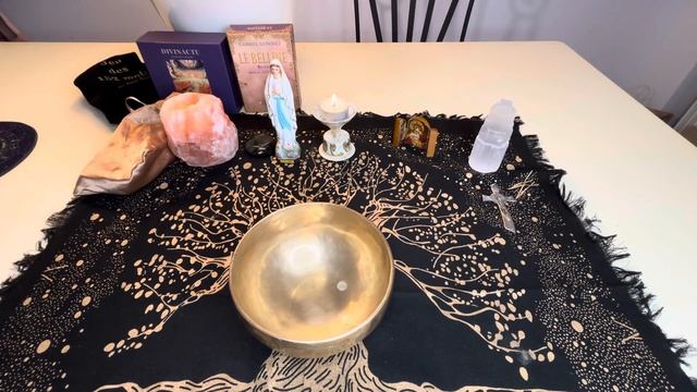 Anne H. et E.M. vont-ils se baigner ds la Seine pour les J.O. # ElerinnaMedium 📞0620296194 смотреть онлайн