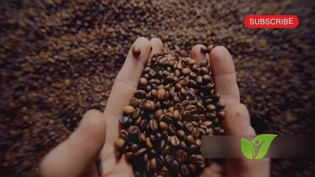 Вот она - ПРАВДА! Реакция сосудов на кофе вас удивит! смотреть онлайн