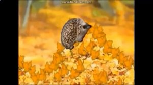 Мультик песенка про ЁЖИКА