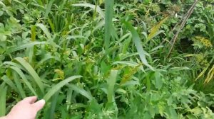 14 июля 20 видео воспоминание. Скоро сезон. Вспомним, спланируем, что-то новенькое