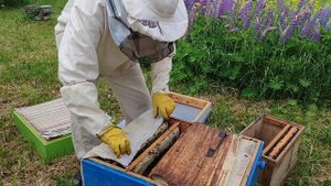 ставим магазин с вощиной