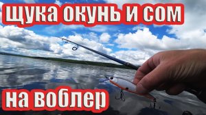 Рыбалка на спиннинг с берега на щуку и окуня.