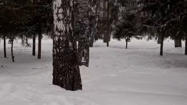 Законы Вселенной от Радугимира. смотреть онлайн