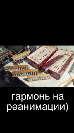 Первый шаг в ремонте гармони