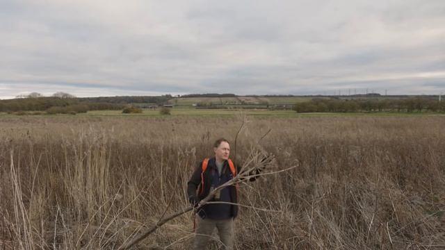 An invasive GIANT in the United Kingdom смотреть онлайн
