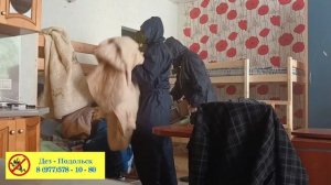 Обработка от клопов холодный туман