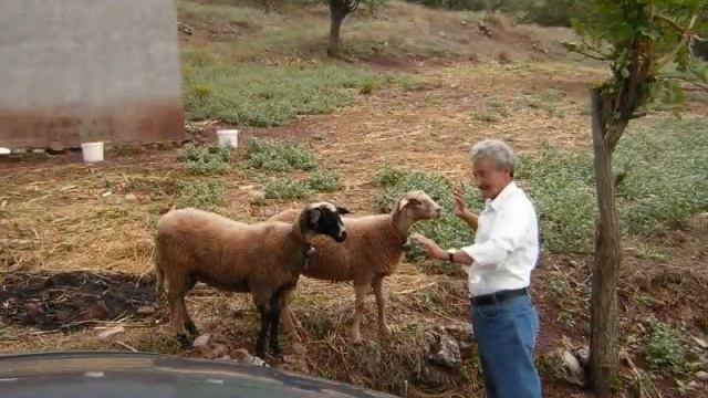 Our Journey Throughout Greece and Turkey смотреть онлайн