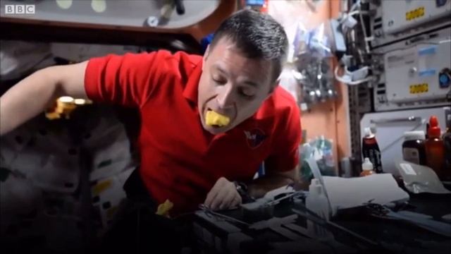 Жизнь в космосе на станции МКС
